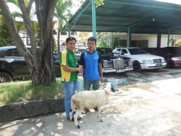Penyerahan Kurban untuk Masjid Faturohman