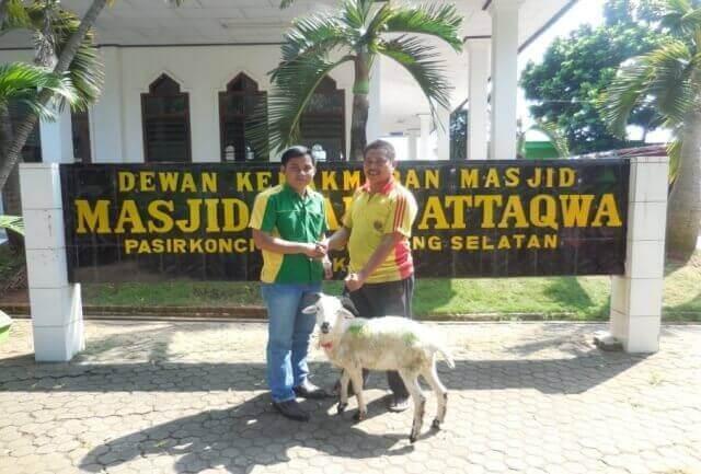 Penyerahan Kurban untuk Masjid Jami Attaqwa