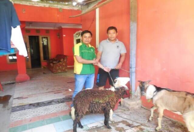 Penyerahan Kurban untuk Masjid Nurul Huda